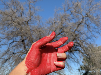 A hand painted red and a tree in the background.