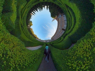 A distorted image of a person walking through a garden.