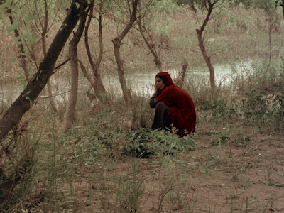 A woman crouching by a stream.