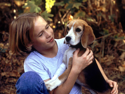 A boy and a beagle.