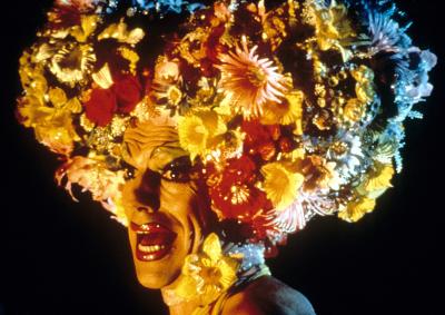 The Adventures of Priscilla, Queen of the Desert (1994)