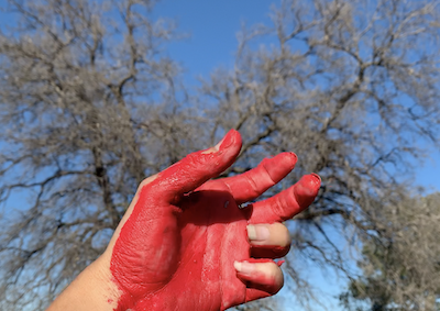 A hand painted red and a tree in the background.