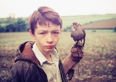 A boy in a field holding a bird in his hand.