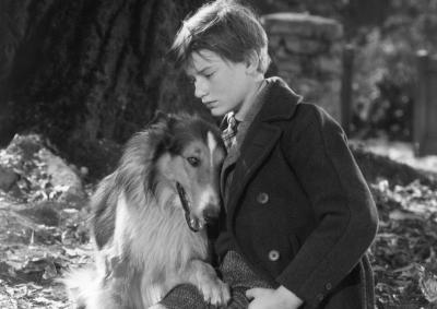 Lassie Come Home (1943)