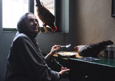 A woman eating a meal among two chickens.