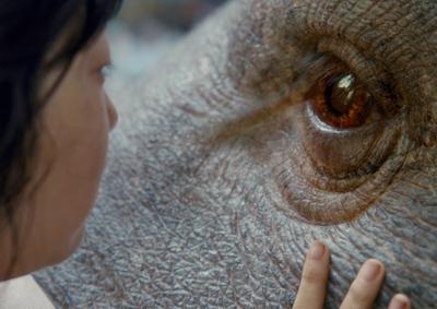 A young girl looking at the eye of a large creature.