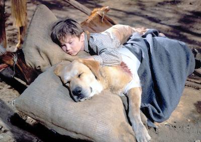Old Yeller Ucla Film Television Archive