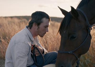 A young man gazing at a horse.