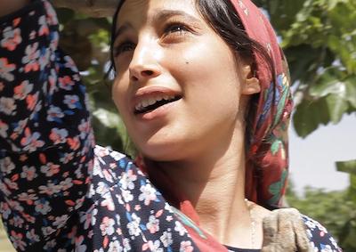 A woman under a fig tree.