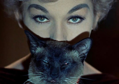 Closeup of Kim Novak and a cat's face.