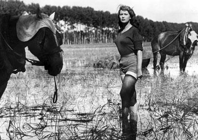 Bitter Rice (Riso amaro) (Italy, 1949); Without Pity (Senso Pietà) (Italy,  1947) | UCLA Film & Television Archive