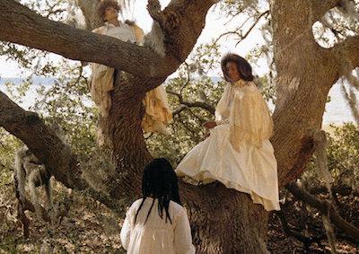 Women sitting on a large tree.