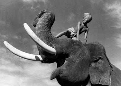 Elephant Boy (1937)