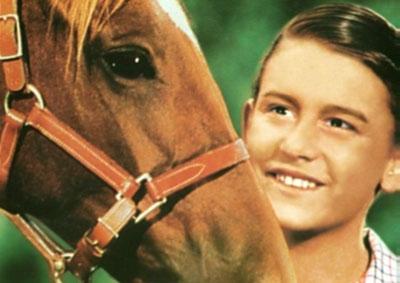 My Friend Flicka (1943)