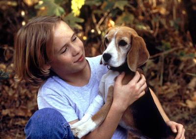 A boy and a beagle.