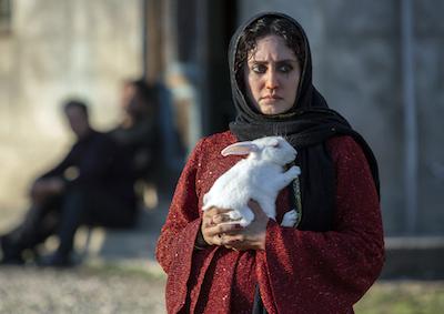 An unhappy-looking woman holding a rabbit.