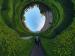 A distorted image of a person walking through a garden.