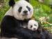 Born in China