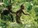 Two men wading through a jungle. 